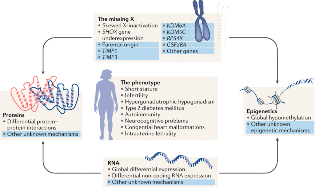 Life Challenges Faced by People with Turner Syndrome