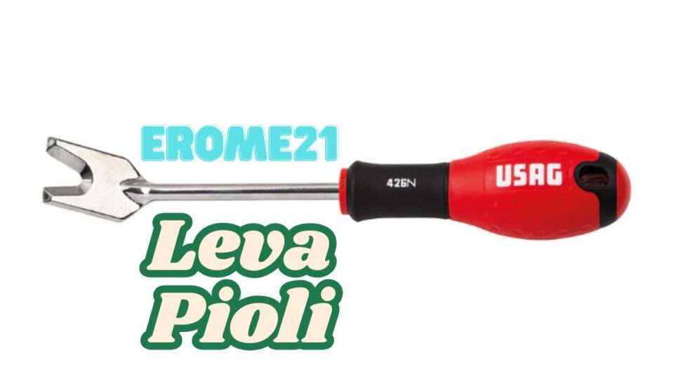 How to Use a LevaPioli – Pin Lever Tool for Easy Pin Removal