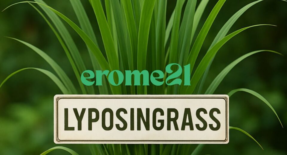 Lyposingrass: The Surprising Secret Everyone’s Talking About